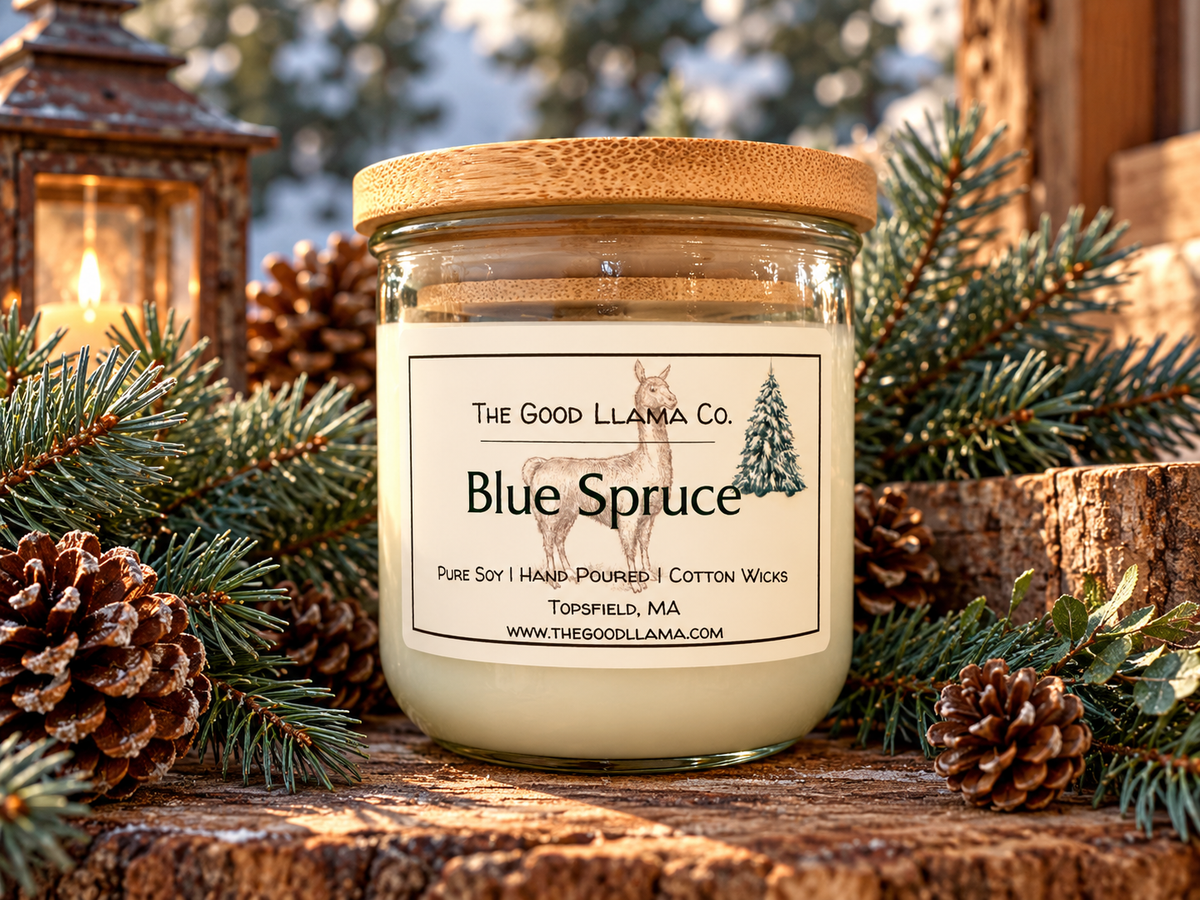 Blue Spruce