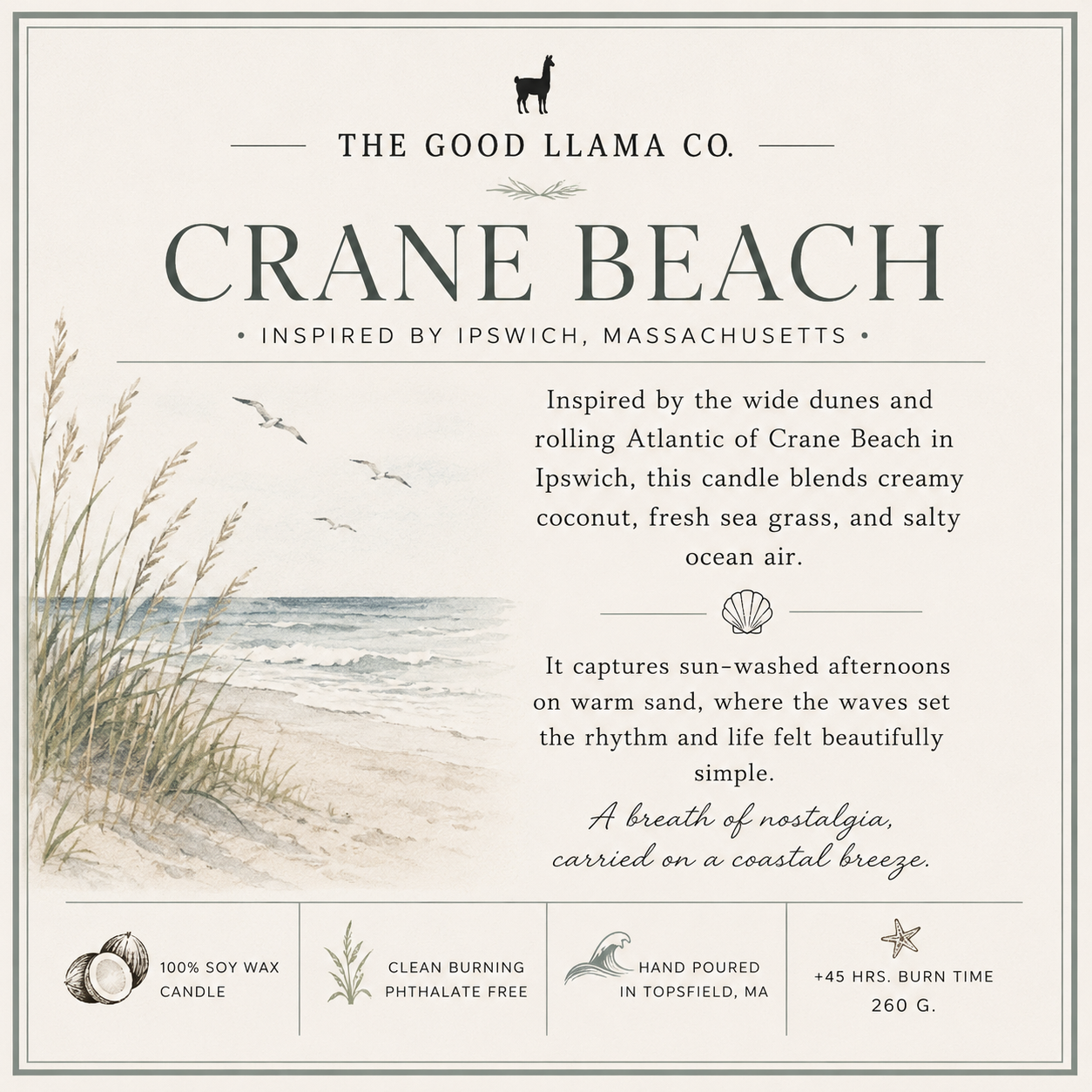 Crane Beach