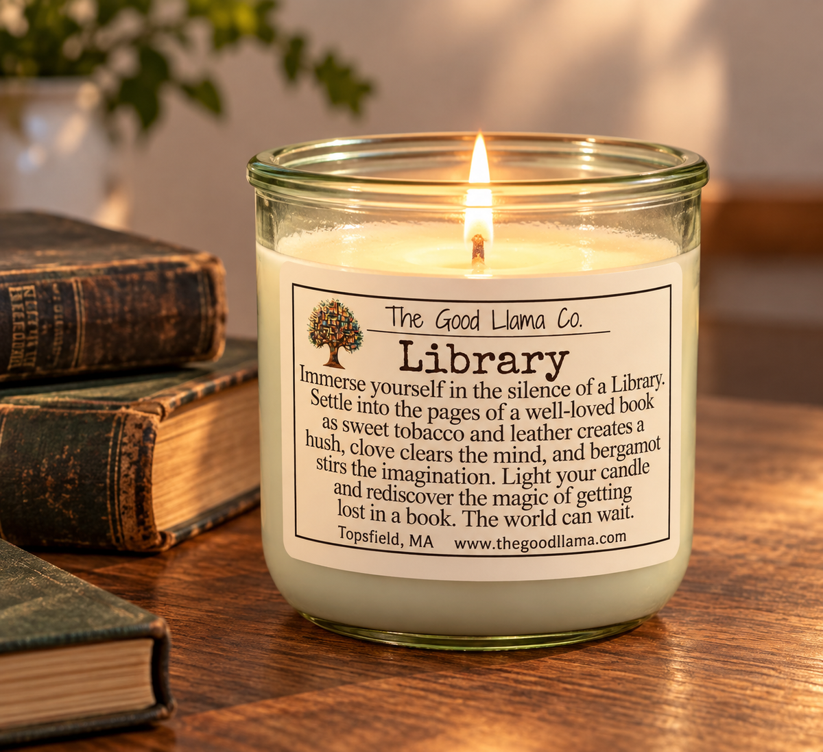 Library