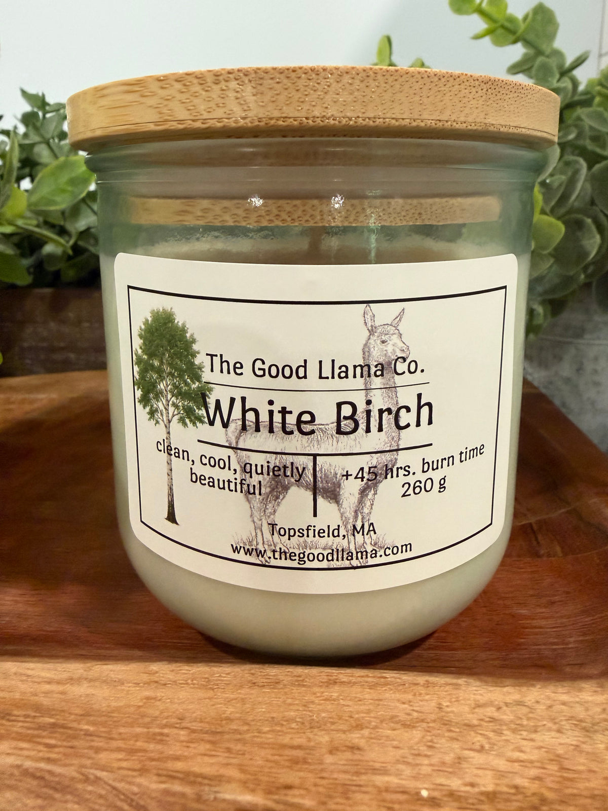 White Birch