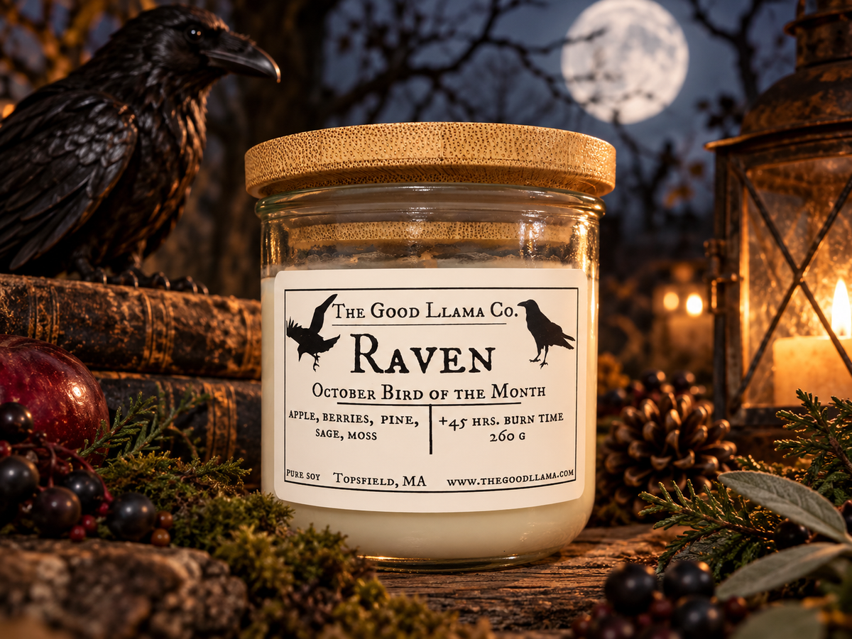 The Raven