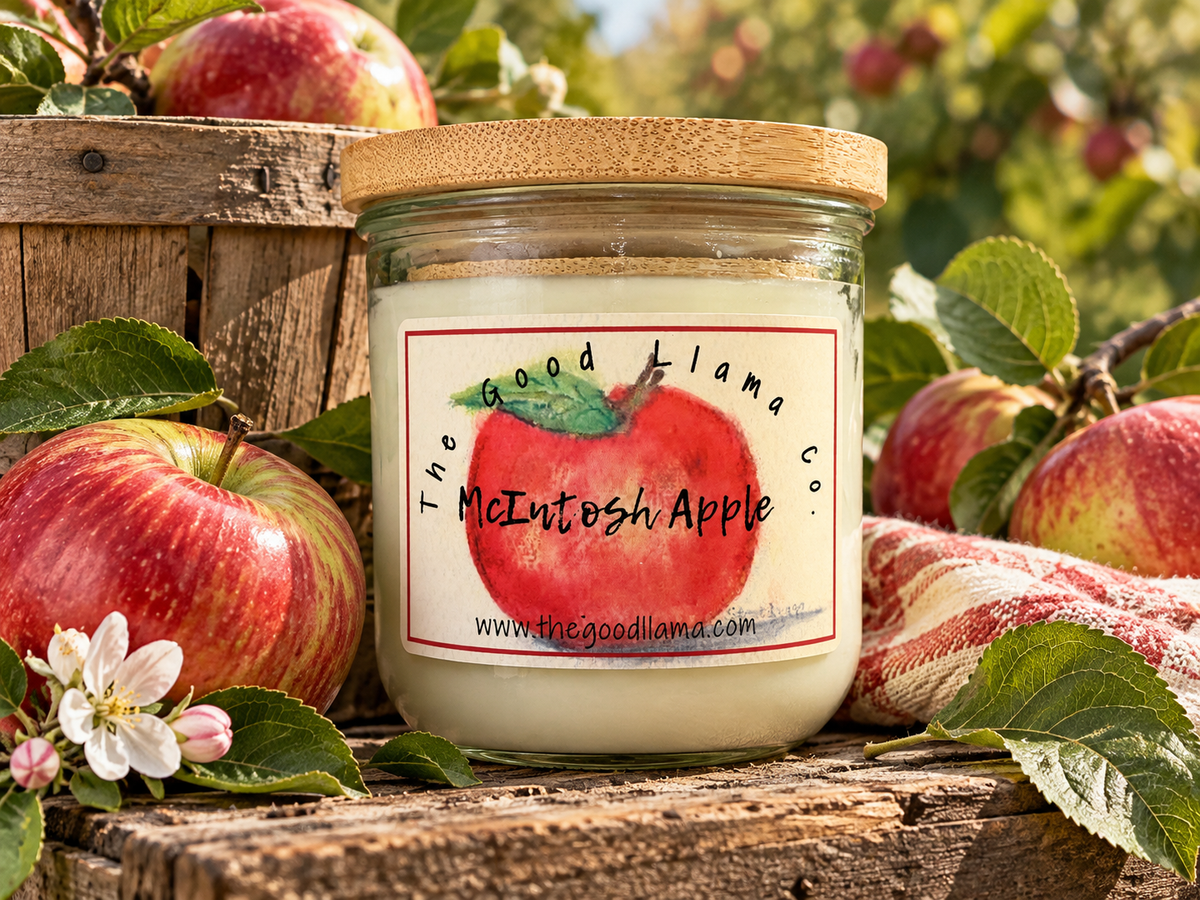 Macintosh Apple