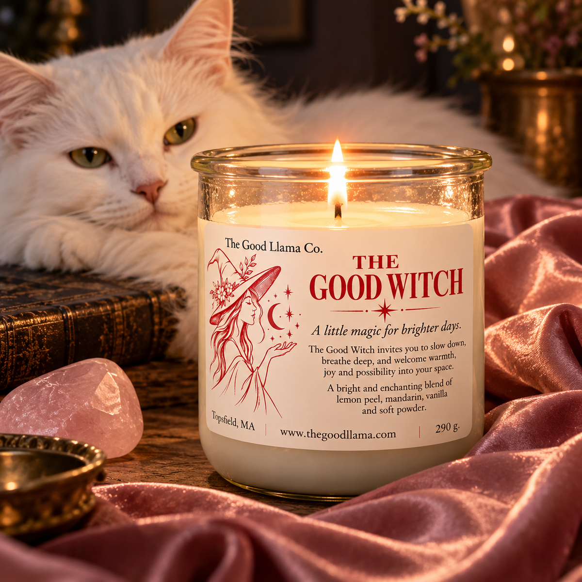 The Good Witch