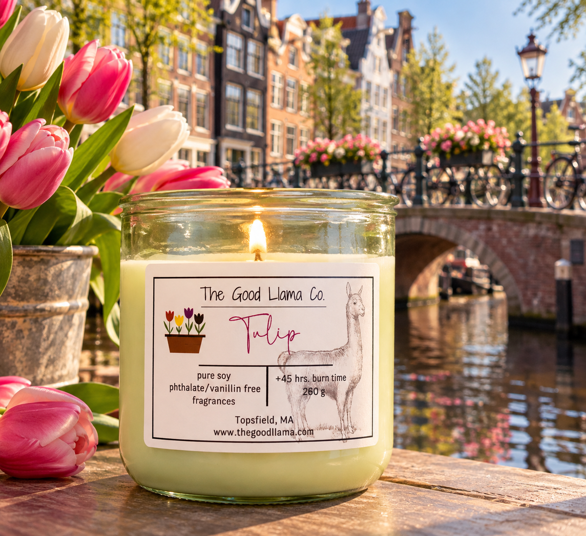 Tulip