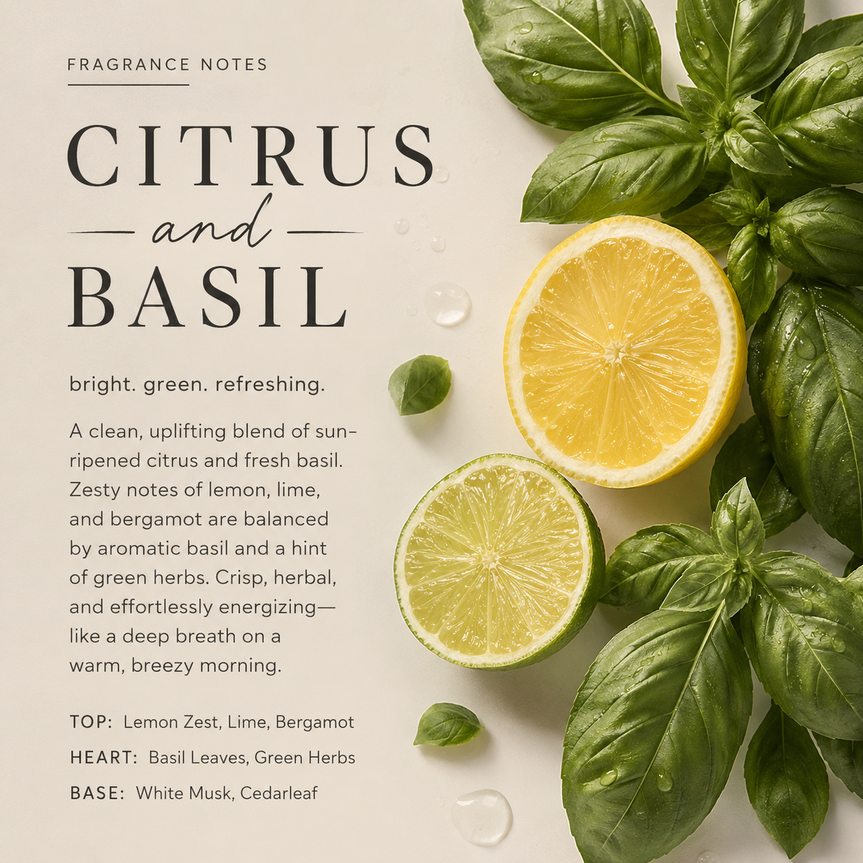 Citrus Basil
