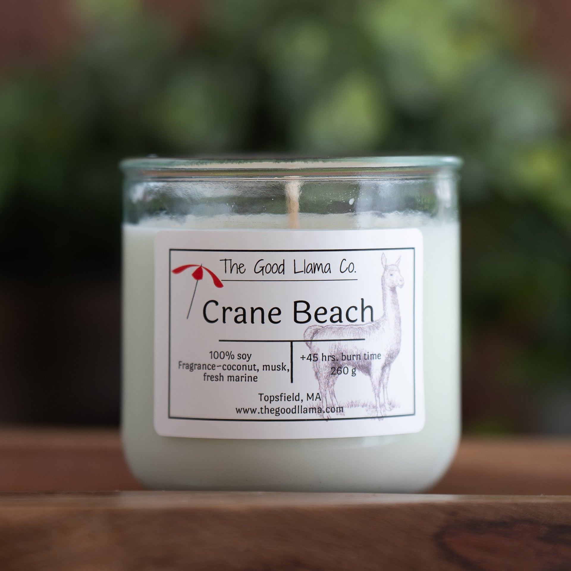 Crane Beach
