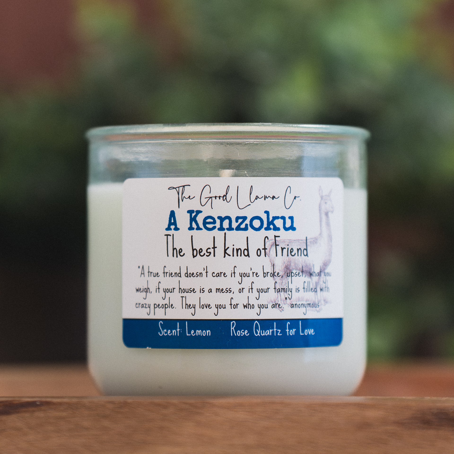 Kenzoku~Friendship