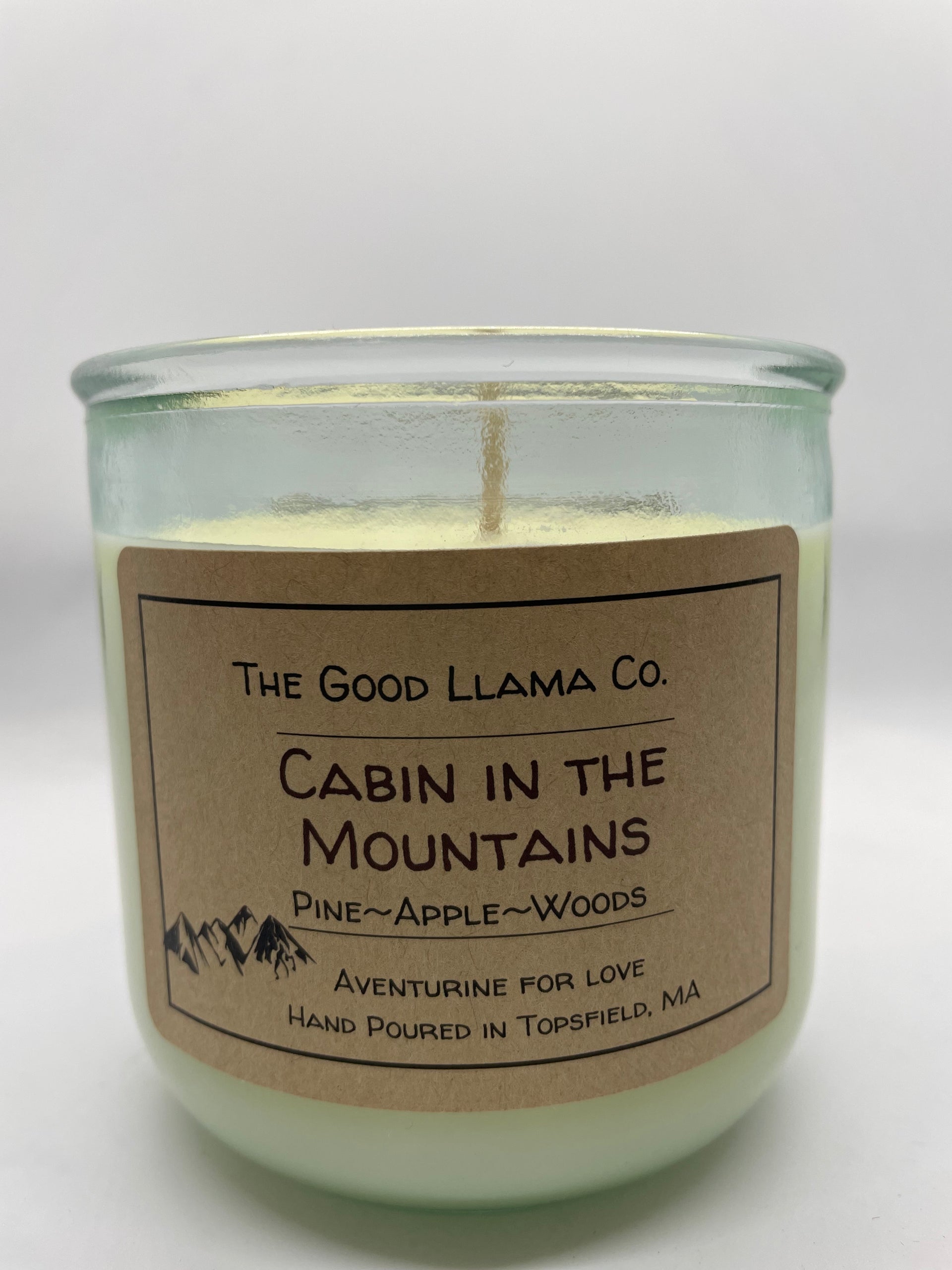 Cabin in the Mountains