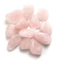 Screen Shot 2020-02-20 at 8.49.55 AM.png